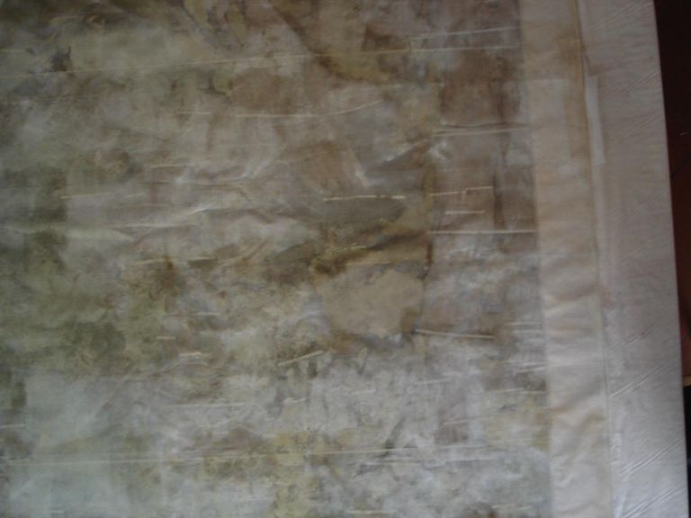 Le due cicogne, dettaglio